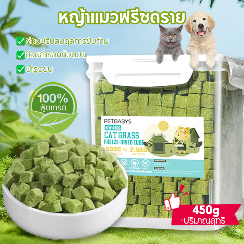 หญ้าแมว อาหารแมว 450 กรัมน้ำหนักสุทธิ กัญชาแมว ผสมอกไก่แ ฟรีซดรายแมว ช่วยสำรอกก้อนขน ไม่ต้องเสียเวลาปลูก