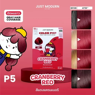 จัสท์โมเดอร์น ครีมเปลี่ยนสีผม ปิดผมขาว ปราศจากสารพีพีดีและแอมโมเนีย Just Modern Color Pop Milky Hair Color Cream 65 ml.