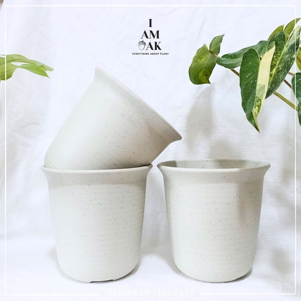 มุมมอง 2