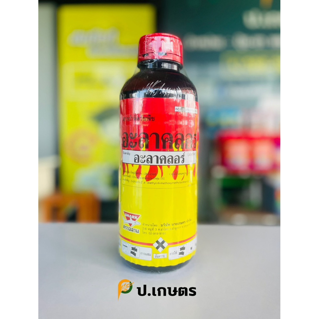 อะลาคลอร์[ใหม่] ขนาด1ลิตร-ฉลาม🦈 : ชื่อสามัญอะลาคลอร์48%EC(ยาคุมวัชพืชในแปลงผัก/ข้าวโพด/มัน/อ้อย)