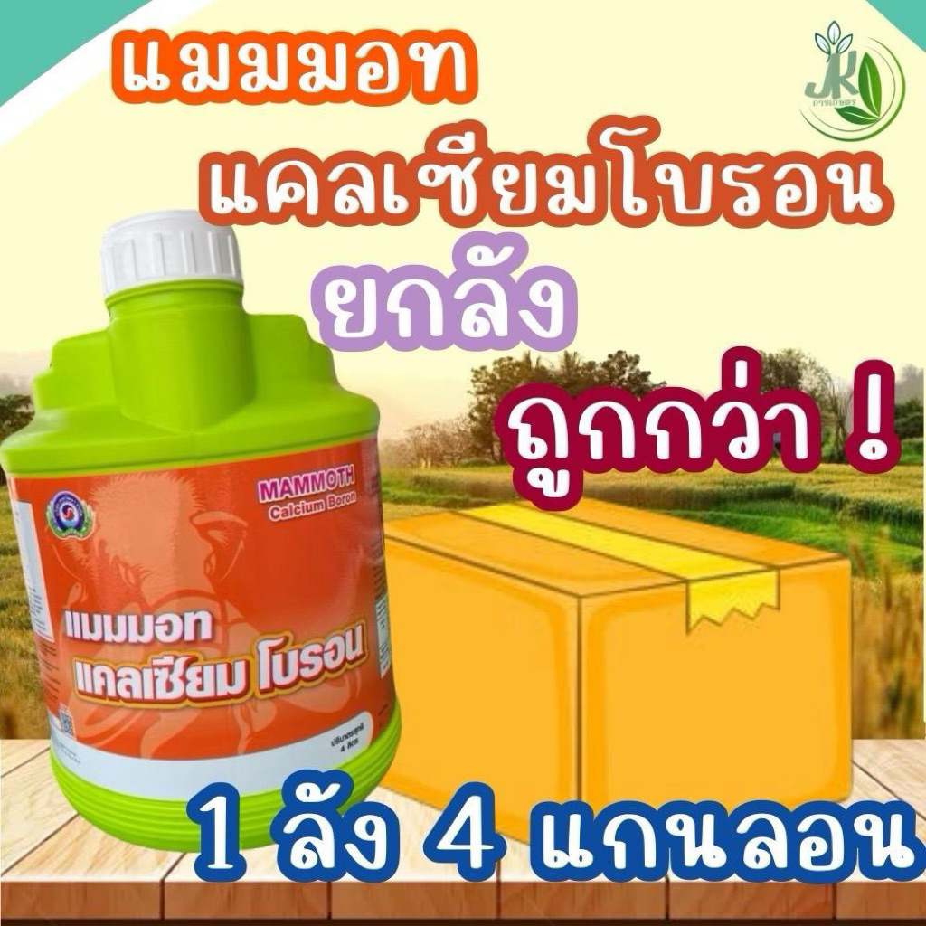 แมมมอทแคลเซียมโบรอน 4 ลิตร ยกลัง 4 ลอน เทพวัฒนา ตราปลาคู่ ช่วยลดการหลุดร่วงของดอกและผล ขั้วเหนียว ช่วยผสมเกสร ฮอร์โมน