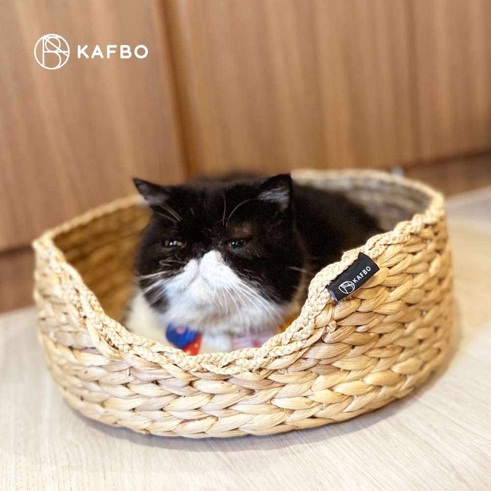 KAFBO Cat Nest Basket - ตะกร้าแมว ตะกร้าสานสำหรับแมว ที่นอนแมว ที่ลับเล็บแมว FREE!! Catnip! - รูปที่ 4
