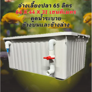 อ่างเลี้ยงปลา 65 ลิตร อ่างสีขาวครีมระบบระบายน้ำดูดบนดูดล่าง 64x44x31ซ. อ่างปลาบอลลูน อ่างปลากัด อ่างปลาสวย กะบะเลี้ยงปลา