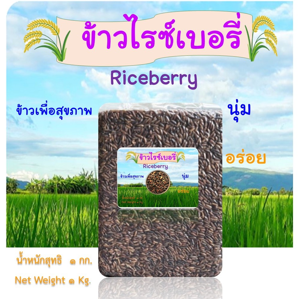 ข้าวไรซ์เบอรี่ (ข้าวนาปรัง)  ขนาด 1 กก.
