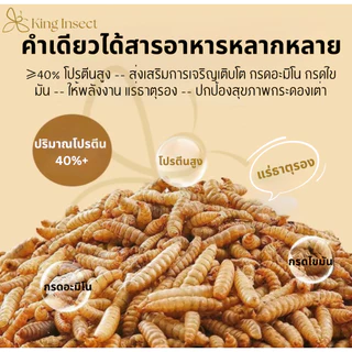 BSF หนอนแมลงวันลายอบแห้ง โปรตีนสูง สำหรับสัตว์เลี้ยง ฟาร์มไก่ ปลา กบ เม่น (1Kg/2Kg/3Kg) โรงงานส่งตรง ราคาถูกสุด