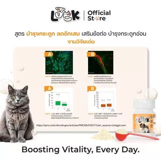 Luck ผงเสริมอาหาร หมาแมว 20 กรัม เสริมสร้างกระดูก ข้อต่อ สะโพก กระดูกอ่อน