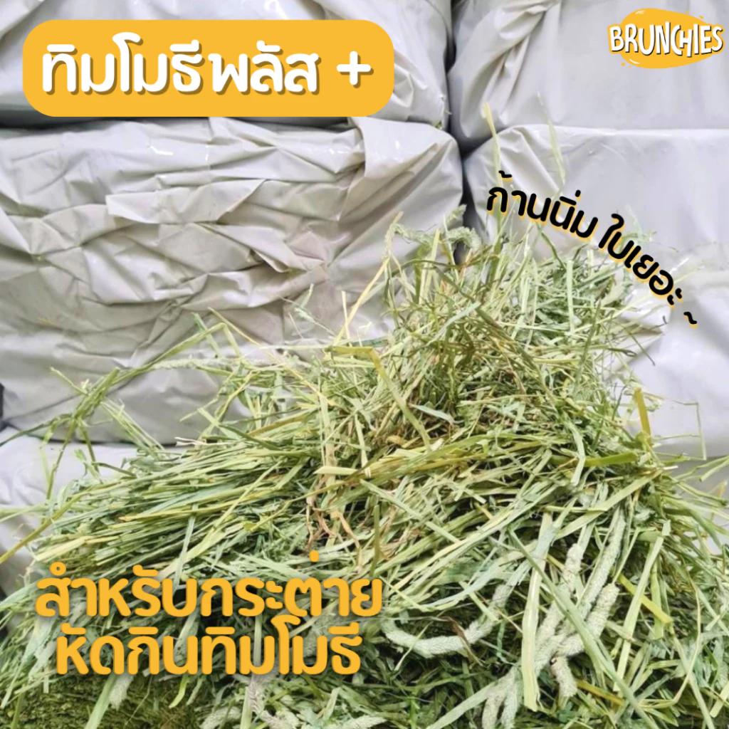 Brunchies หญ้าทิมโมธีอย่างดีร่อนฝุ่น (1kg) พรีเมียม ใหม่สุด เขียว หอม กินง่าย ดอกเยอะ ลับฟันดี thumbnail 4