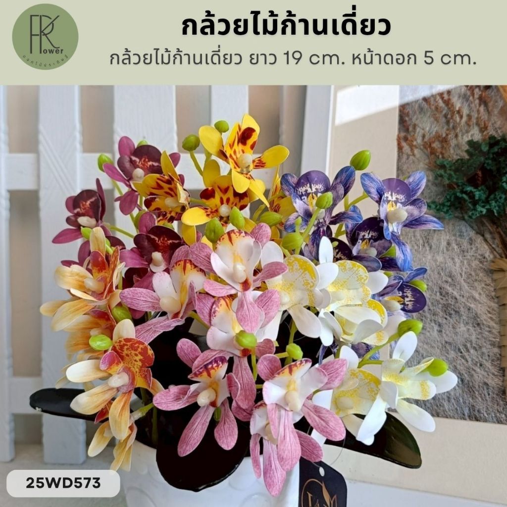 กล้วยไม้ก้านเดี่ยว พร้อมใบกล้วยไม้ ยาว 19 cm. หน้าดอก 5 cm.
