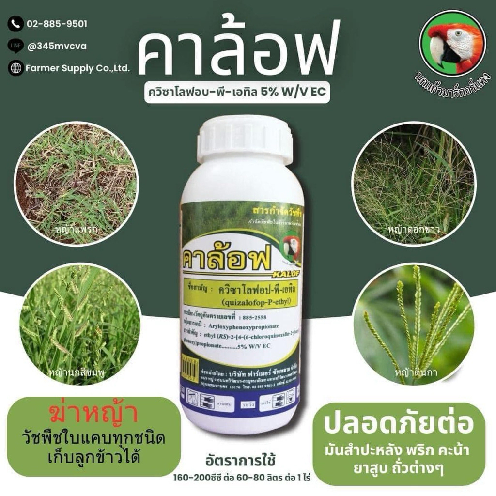 คาล้อฟ(ควิกซาโลฟอป พี เอทิล 5%)
