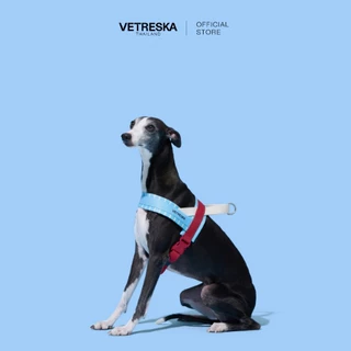 VETRESKA สายรัดอกและสายจูงสุนัข MIST AND MERLOT PET HARNESS & LEASH SET