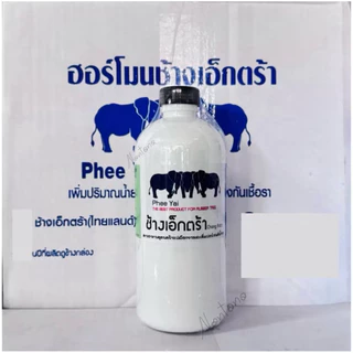 ช้างเอ็กตร้า ฮอร์โมนสำหรับยางพารา สูตรสร้างเปลือกยางและเพิ่มเปอร์เซ็นต์น้ำยาง