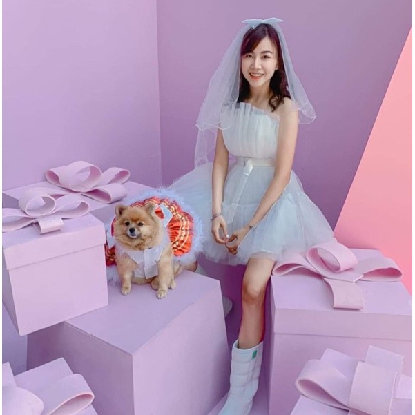 พร้อมส่ง🇹🇭 Veil.No8 (หวีสับ) เวลประดับโบว์ เพิ่มความน่ารัก #VEIL #เวลเจ้าสาว #เตรียมแต่งงาน