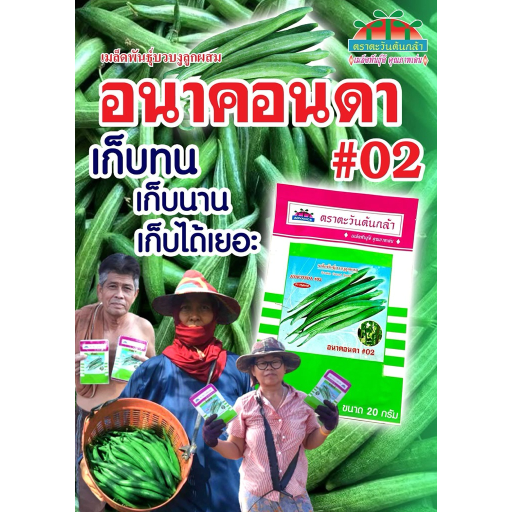 เมล็ดพันธุ์บวบงู อนาคอนดา #02 ตราตะวันต้นกล้า (20 กรัม) | เมล็ดพันธุ์ลูกผสม เก็บทน เก็บนาน ผลดก