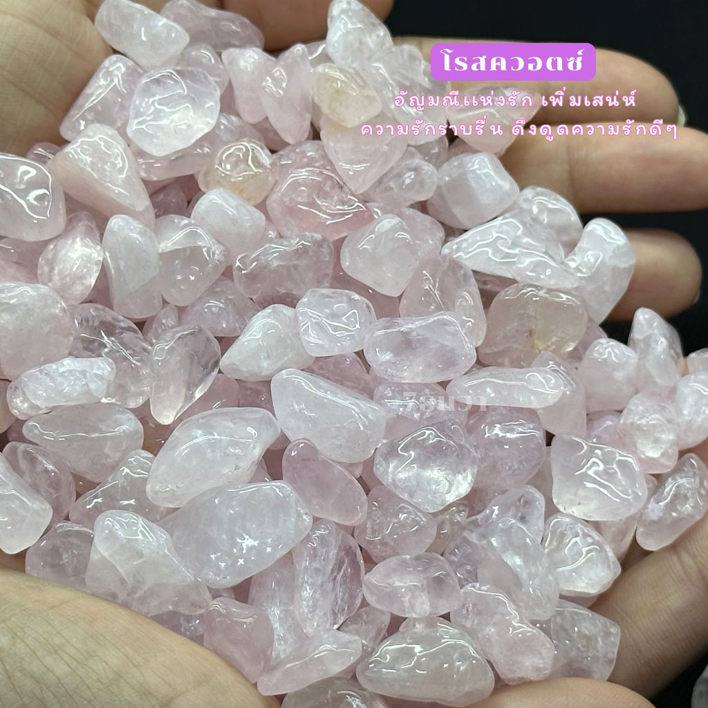 รูปภาพ 8