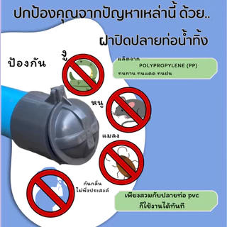 ฝาปิดปลายท่อน้ำทิ้ง *ฝาปิดกันงู* *โปรดอ่านข้อควรระวัง* #ฝาปิดปลายท่อน้ำทิ้ง #ท่อกันงู กันกลิ่นมีปลายทาง #ฝาปิดท่อน้ำทิ้ง