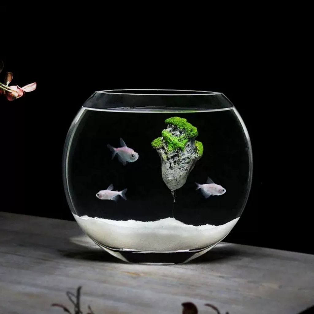 RTNS SHOP : โหลแก้วสำหรับเลี้ยงปลาสวยงาม ตู้ปลาทอง ตู้ปลาขนาดเล็ก มี 12 ขนาด ☆ - รูปที่ 5