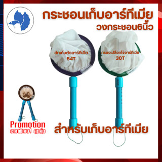 มาใหม่..กระชอนเก็บอาร์ทีเมีย  วงกระชอน 6 นิ้ว  จัดส่งไว