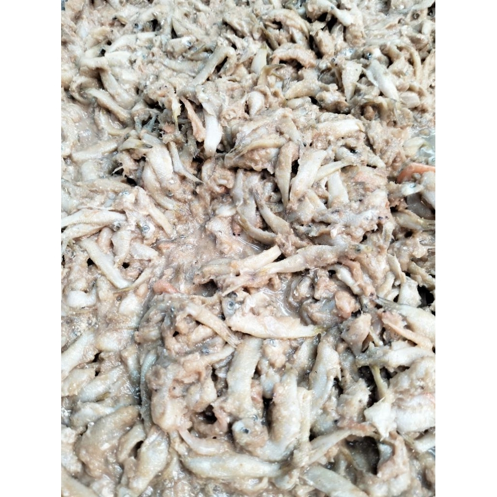 🐟🌶️ปลาจ่อมโคราช รสต้นตำรับ🐟🌶️