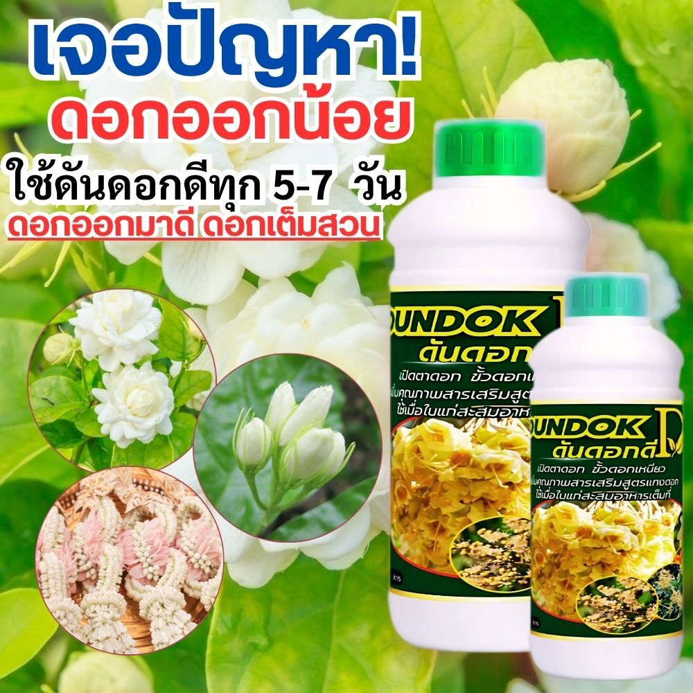 ตัวช่วยดอกดก ดอกออกทันขาย เร่งดอกมะลิ ดอกเยอะ ดอกสวย กลิ่นหอม ปุ๋ยบำรุงดอก ต้องใช้ดันดอกดี