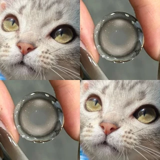 【ซื้อครบ2 คู่ แถมลิปกลอส】 คอนแทคเลนส์ Midroo คอนแทคเลนส์สีเทา Tears Grey ขนาด 14.5mm เลนส์มีค่าสายตา รายเดือน
