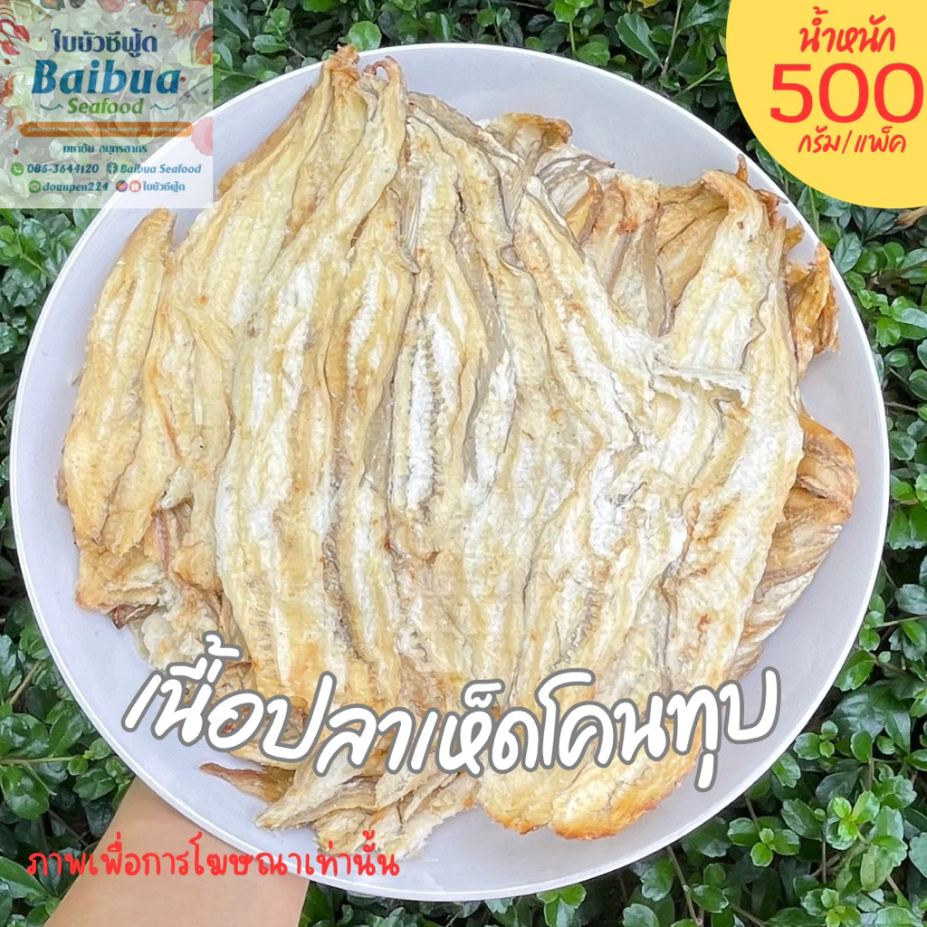 เนื้อปลาเห็ดโคนทุบ 500 กรัม | ชิ้นใหญ่ เนื้อนุ่ม ไม่คาว อร่อย ทานง่าย แพ็คถุงซิปล็อก ส่งไว