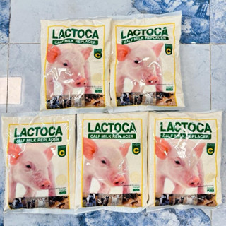 [5kg.]แลคโตคา อาหารแทนนมสำหรับวัว ควาย หมู แพะ