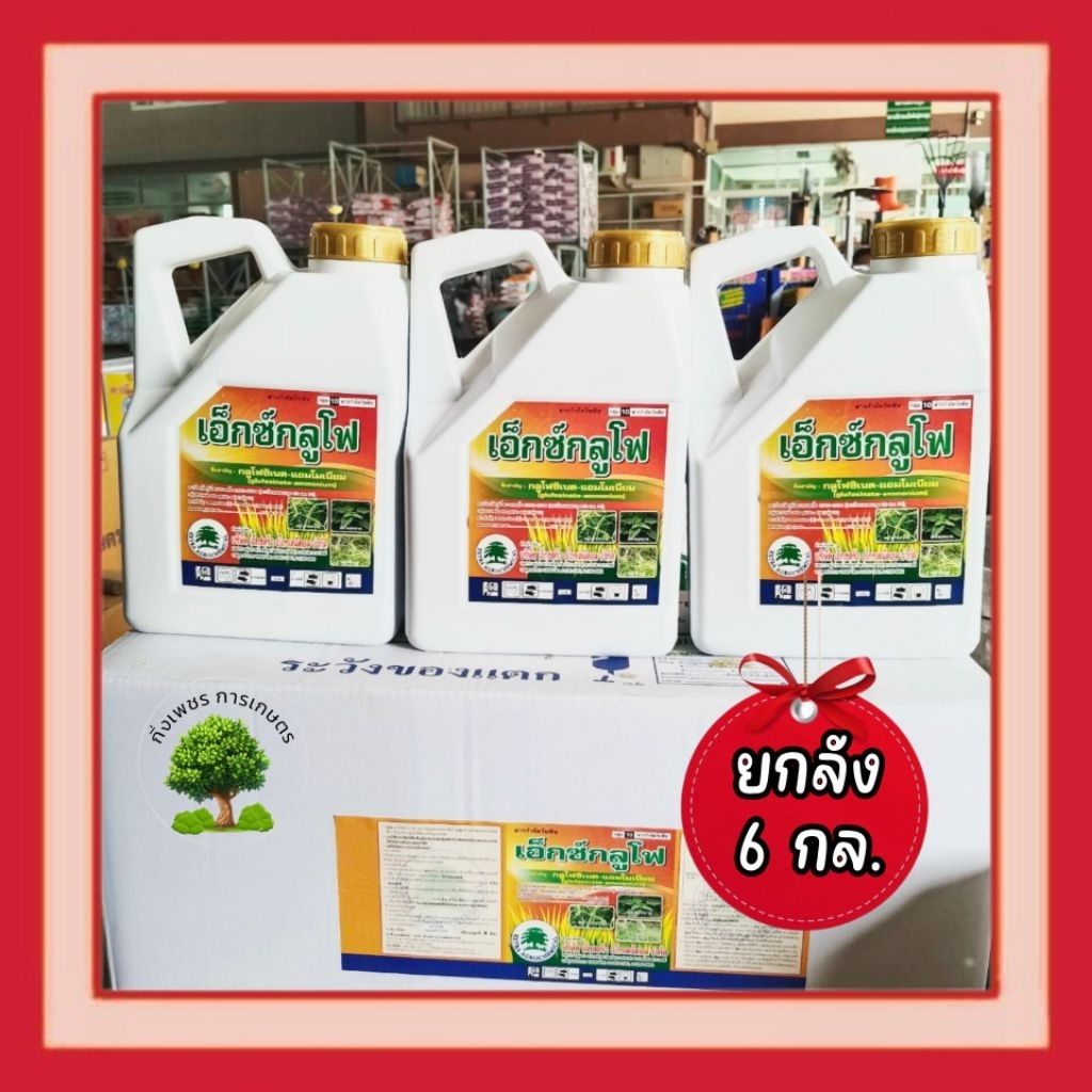 (ยกลัง-สั่งได้คำสั่งละ1ลังค่ะ)เอ็กซ์กลูโฟ-แกลลอนสีขาว(4 ลิตร × 6 กล.)สารกำจัดวัชพืชกลูโฟซิเนต (น้ำสีฟ้า) สูตรทนฝน