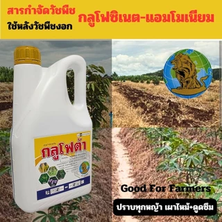 กลูโฟต้า 4 ลิตร กลูโฟซิเนต-แอมโมเนียม ตราสิงห์ลูกโลก กำจัดวัชพืชหลากหลายชนิด