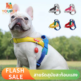 สายรัดอกสุนัข สายรัดสุนัขสะท้อนแสง เสื้อรัดอกหมา สะท้อนแสง เสื้อกั๊กสัตว์เลี้ยง ระบายความร้อน สามารถปรับได้ ส่งของในไทย