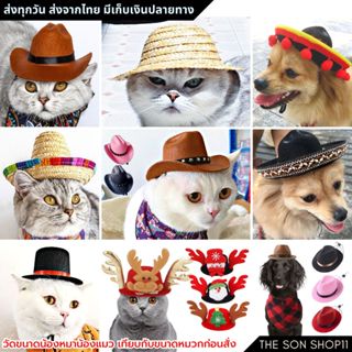 หมวกฟางสัตว์เลี้ยง หมวกคาวบอย สำหรับสุนัขและแมว พร้อมส่งจากไ…