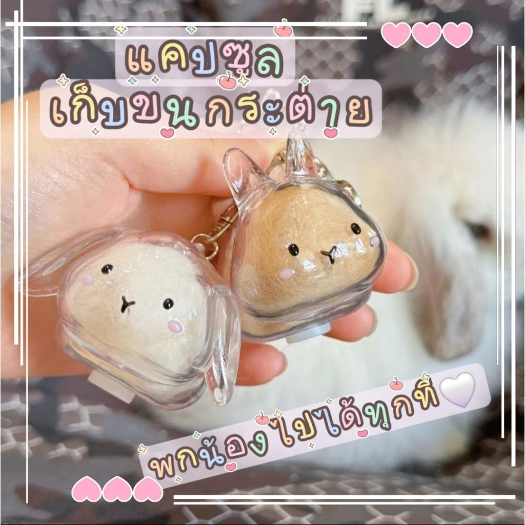 🐰แคปซูลเก็บขนสัตว์เลี้ยง🐰 พวงกุญแจสัตว์เลี้ยง กระต่าย/หนูแฮม/แมว/สุนัข(ส่งจากไทย🇹🇭)
