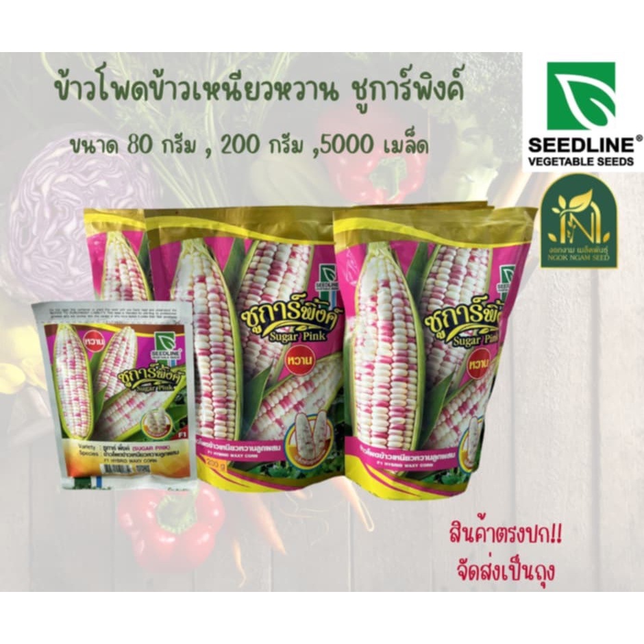 เมล็ดข้าวโพดข้าวเหนียวหวาน ชูการ์พิงค์ SEEDLINE