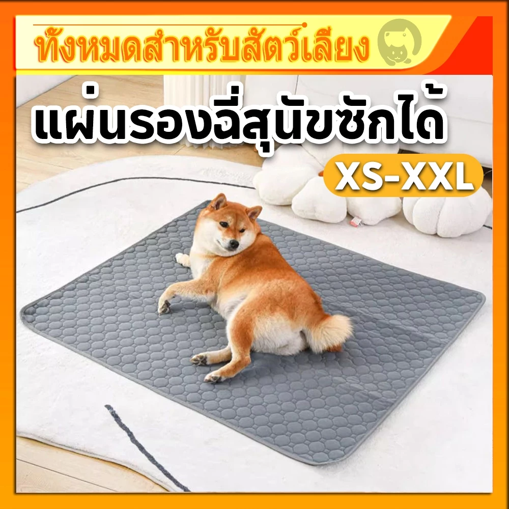 พร้อมส่ง🔥แผ่นรองฉี่สุนัข แผ่นรองฉี่สัตว์เลี้ยง ผ้ารองฉี่หมา เเมว กระต่าย ซักใช้ซ้ำได้ ซึมซับได้ดี มีกันลื่น