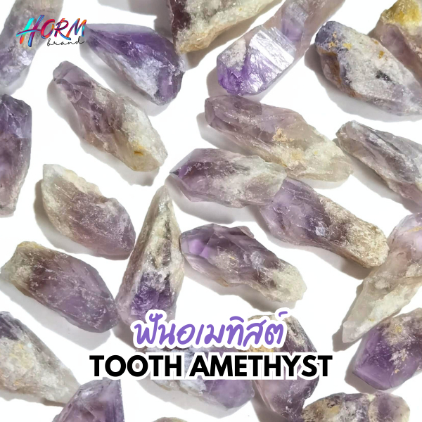 หิน Tooth Amethyst ฟันอเมทิสต์ แท้100% เหมาะทำสร้อยคอ จี้ หินมงคล