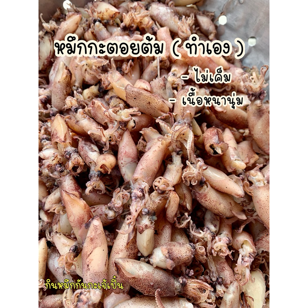 หมึกกะตอยต้มตากแดดเดียว ทางร้านต้มเอง เนื้อนุ่มหนึบ ไม่เค็ม ไม่แช่สารอันตราย อร่อยฮิ