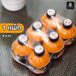 น้ำส้ม ผสมเนื้อส้ม น้ำลิ้นจี่ ผสมวุ้นมะพร้าว เดอะโชกุน น้ำผลไม้ อร่อย สดชื่น ขนาด 220มล. (1-5 แพ็ค)