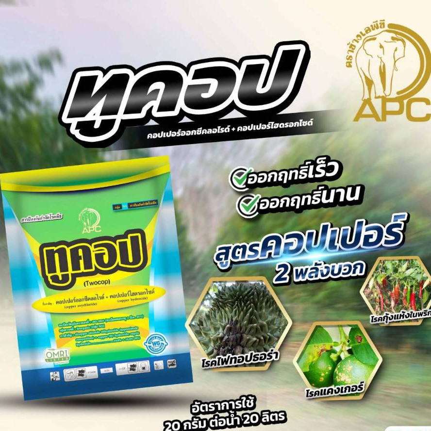 เชื้อรา โรครา ล้างใบ คอปเปอร์แท้ คอปเปอร์บวก คอปเปอร์2+ ราแคงเกอร์ ราใบจุด ราแป้ง