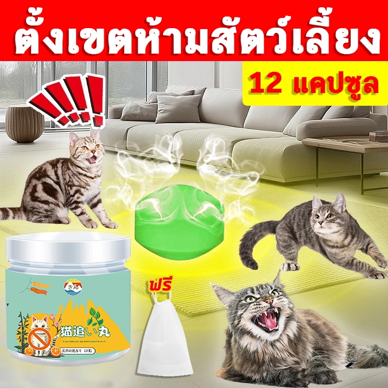 🚫1000เมตรไม่มีแมว ก้อนไล่แมว กลิ่นไล่แมว ยาไล่แมว เปรไล่แมว ไล่แมว1กล่อง 5ชิ้น ใช้ง่ายแค่วาง ปลอดภัยต่อคนและสัตว์เลี้ยง