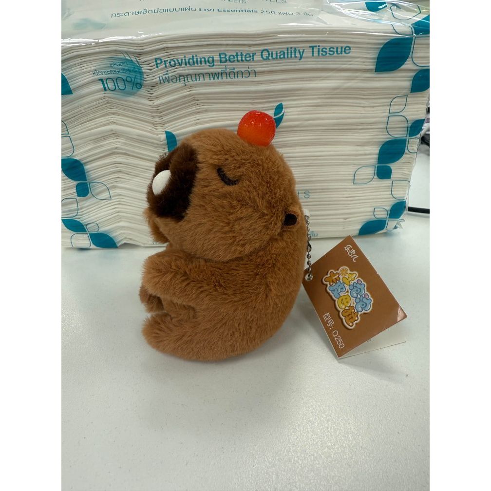 [item003] cute capybara keychain with orange on da head