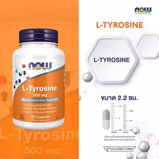 NOW Foods, L-Tyrosine, 500 mg, 120 Capsules,แอล-ไทโรซีน ขนาด 500 มก. บรรจุ 120 แคปซูล