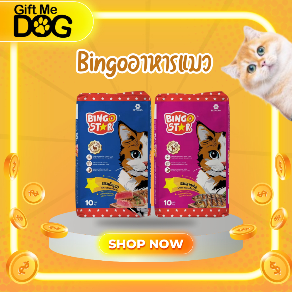 Bingostar บิงโกสตาร์ อาหารแมวแบบเม็ด สำหรับแมวทุกสายพันธุ์  ขนาด10kg
