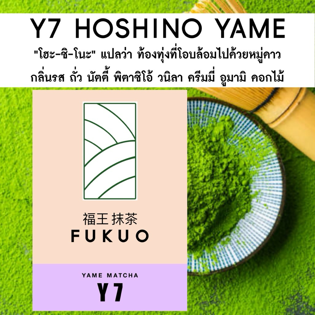 รูปภาพ 7