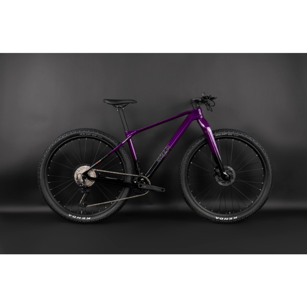 TWITTER M5 PRO จักรยานเสือภูเขา ล้อ 29 นิ้ว NEW2025