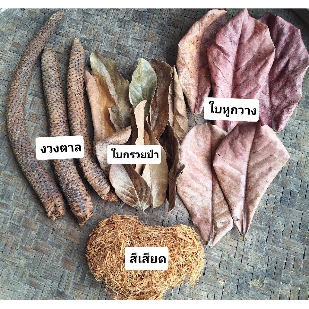 ชุดทำน้ำหมักปลากัดชุดเล็กขนาด200กรัมมี4อย่างใบกรวยป่า/ใบหูกวาง/งวงตาล/สีเสียดราคา79บาท