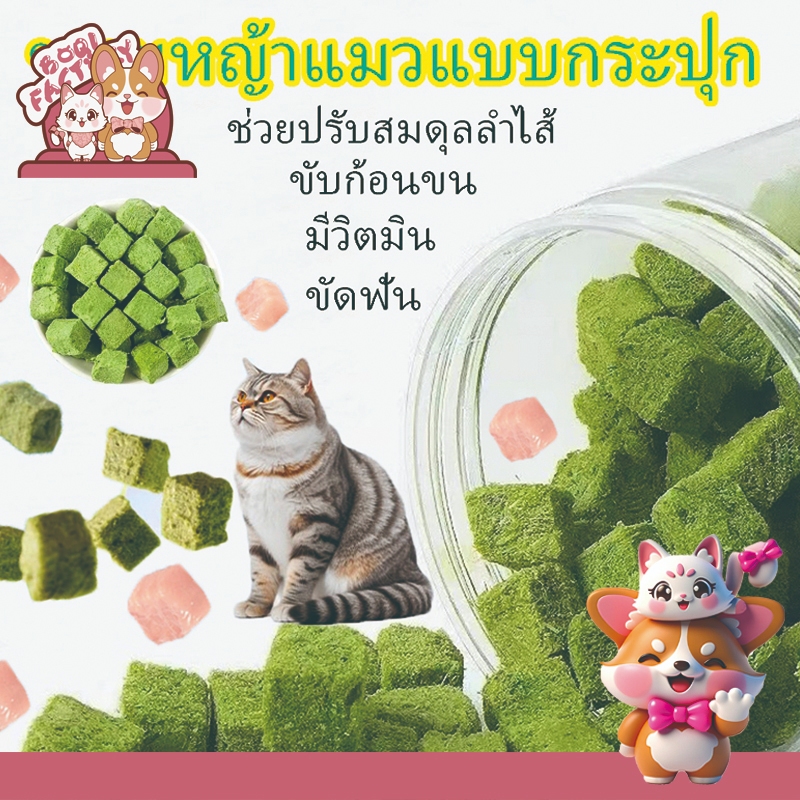 Boqi Factory  ขนมหญ้าแมว ฟรีซดราย ผลิตจากต้นอ่อนข้าวสาลี หั่นเต๋า Cubebox