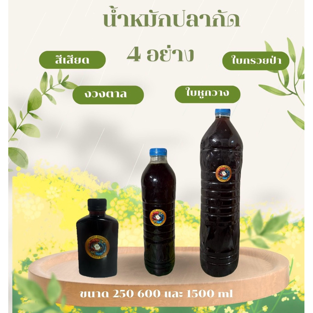 น้ำหมักปลากัด 4 อย่าง ใบกรวยป่า ใบหูกวาง สีเสียด และงวงตาล