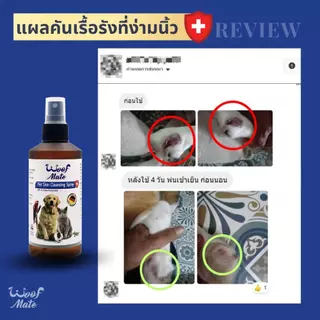 WoofMate วูฟเมท สเปรย์พ่นเชื้อรา คันขี้เรื้อนผิวหนังอักเสบแผลหนอง (มี2ขนาด)