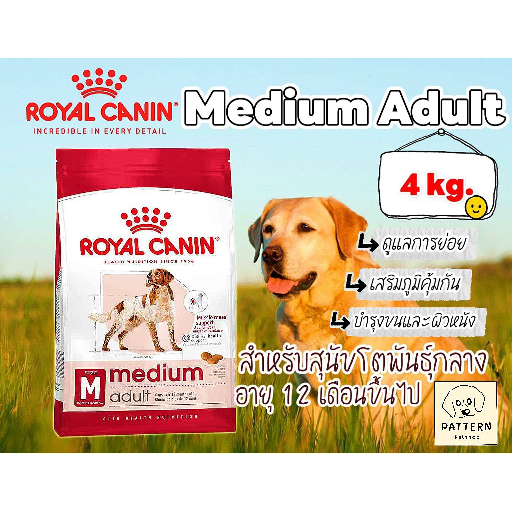 Royal Canin Medium Adult 4 kg. อาหารสุนัขแบบเม็ดสำหรับสุนัขโตพันธุ์กลางอายุ 12 เดือนขึ้นไป