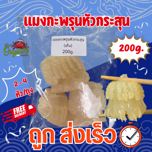 แมงกะพรุนหัวกระสุน 200 กรัม  [พร้อมส่งในไทย]