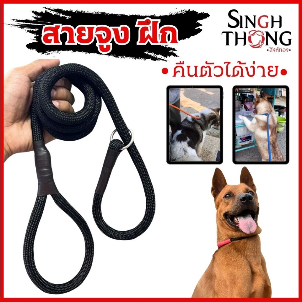 SinghThong สายจูงฝึกสุนัข หนา 12 มม. สายจูงฝึกหมา สายคล้องคอสุนัข เชือกฝึกสุนัข ยาว 1.5 - 5 เมตร